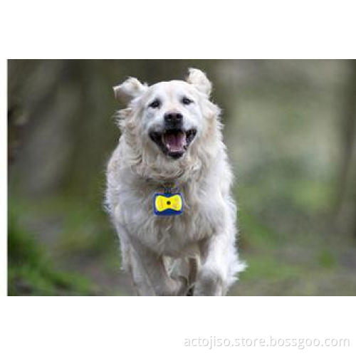 480P 30fps 0.3MP Action Video Cameras Mini Video Pet Camera